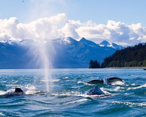 Juneau