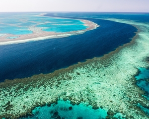 Cairns