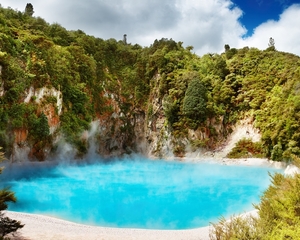 Tauranga